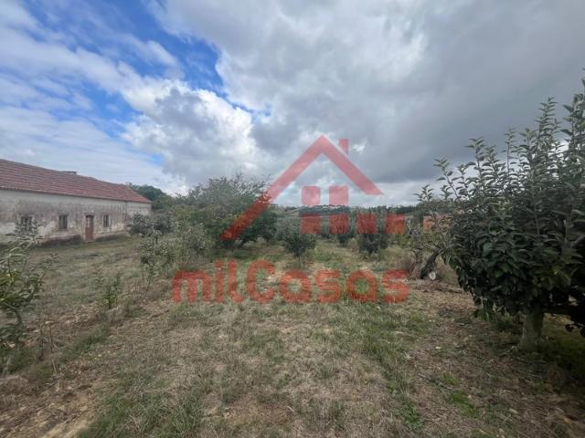 Quintinha com Moradia e Pomar em Carvalhal, Bombarral