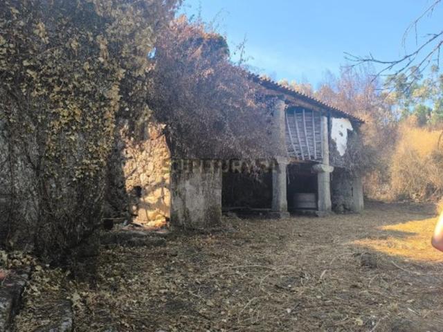 Quintinha com Moradia para Recuperar em Poiares, Ponte de Lima Projeto de Sonho no Minho
