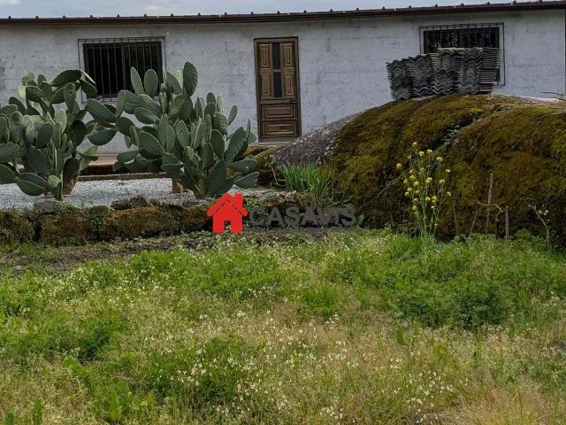 Quintinha com casa agrícola