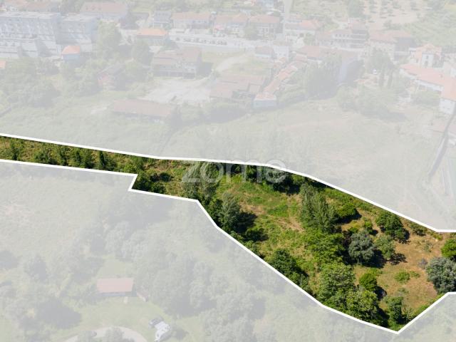 Quintinha com casa em pedra para restauro no centro de Arco de Baulhe