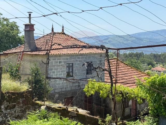 Quintinha com cerca de 3600m2 de área total de terreno