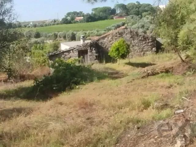Quintinha com Terreno Urbano em Nelas