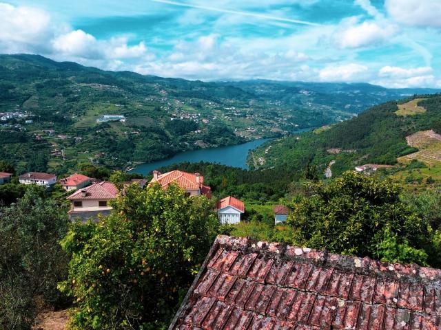 QUINTINHA COM VISTA RIO DOURO 200m² Santa Cruz do Douro e São Tomé de Covelas