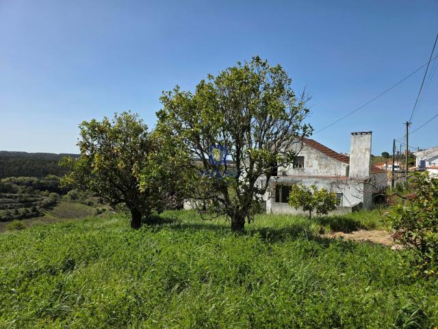 Quintinha com 12.484m2 de Terreno e 260m2 de área bruta. Possibilidade de construir mais casas