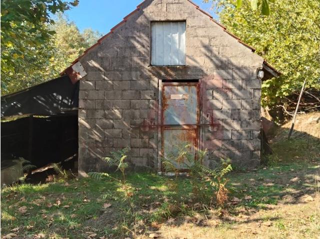 Quintinha com 12.770 m² em Barrosas Santo Estêvão, Lousada