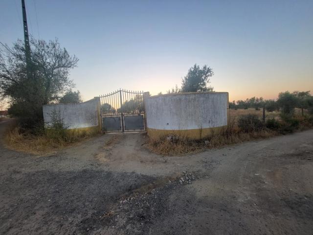 Quintinha com 26.000 m2
