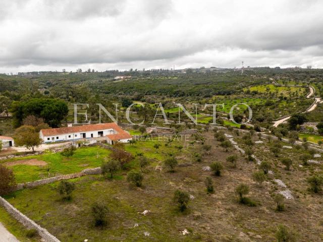 Quintinha com 20.000 m2 na região de Porto de Mós 234m² São Bento