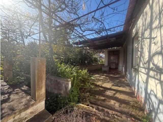 Quintinha com 2 Casas para Recuperar Excelente Oportunidade de Investimento no Caniço