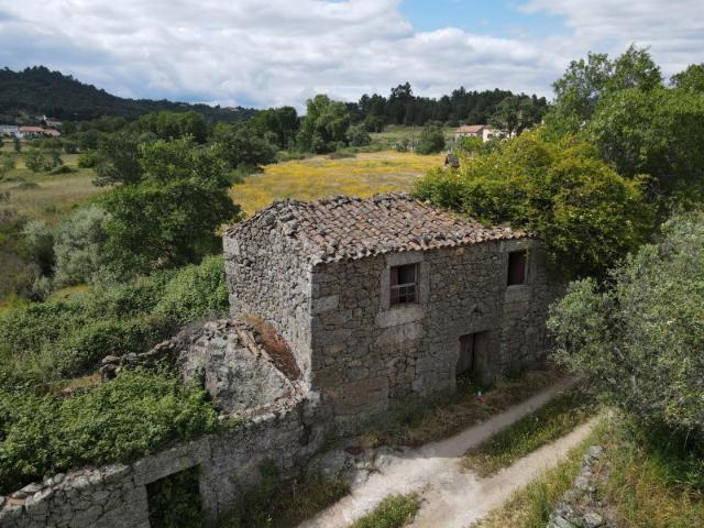 Quintinha com 2 hectares