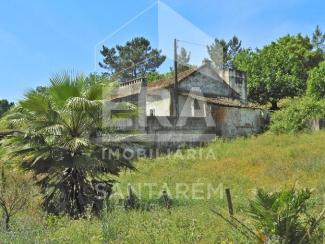 Quintinha com 44.020 m2 de terreno