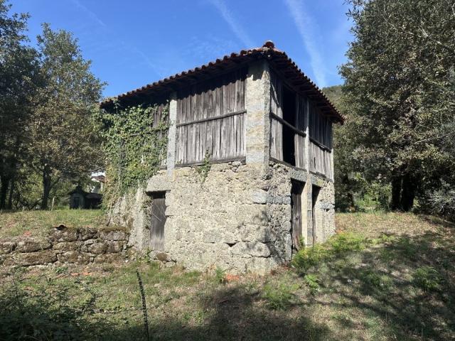 Quintinha com 418m2 com Ruína de 48m2 para recuperar I Gondoriz Terras de Bouro