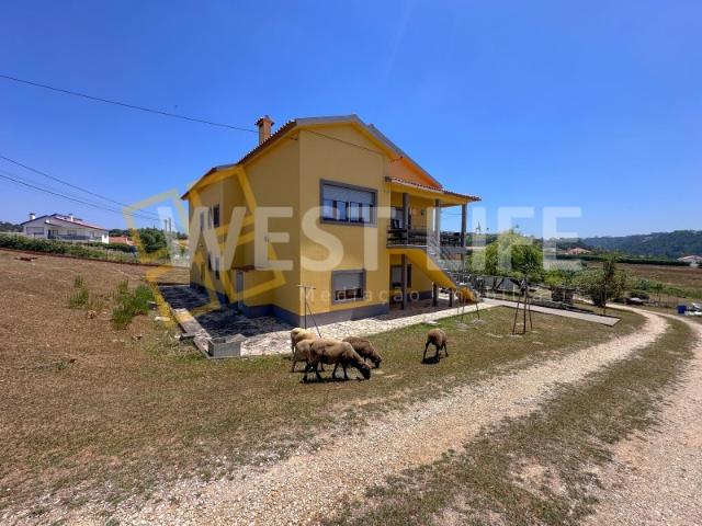 Quintinha com 4.500m² de Terreno a Apenas 3 Minutos da Ericeira Santo Isidoro