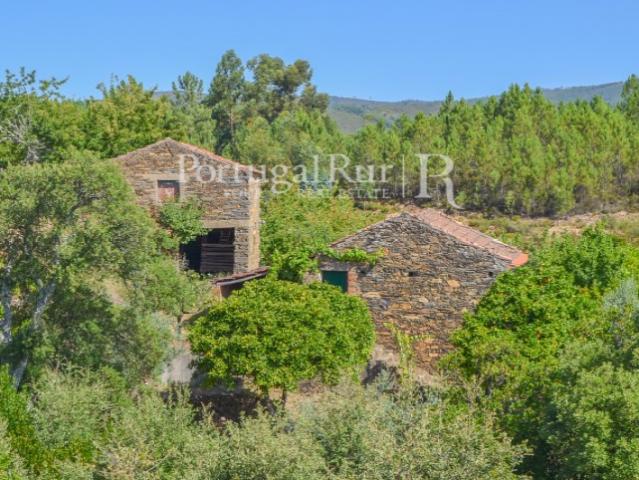 Quintinha com 4 hectares e 2 construções em aldeia da Beira Baixa
