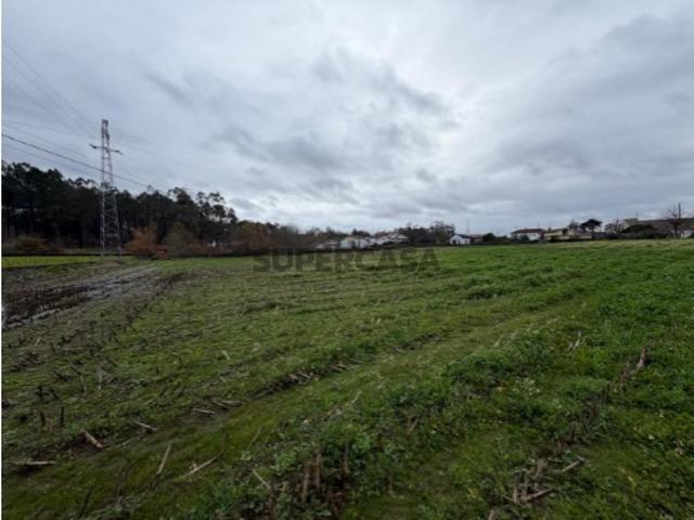 Quintinha com 7400 metros quadrados em Estarreja