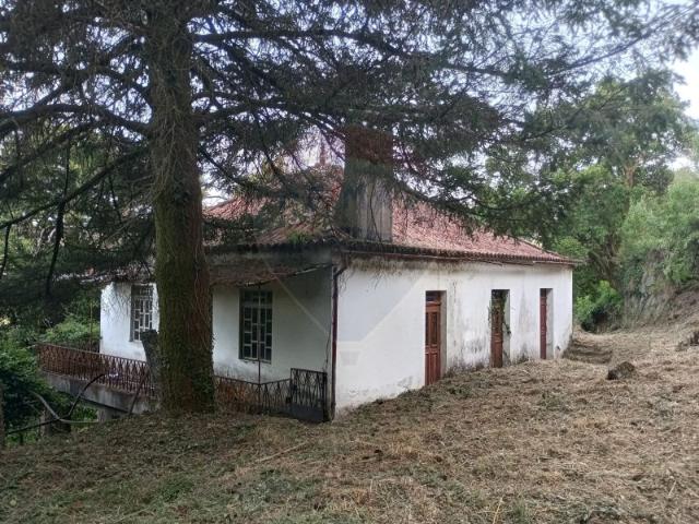 Quintinha com 7.620 m2 de área, em Rio Frio, Arcos de Valdevez!