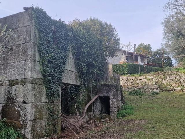 Quintinha com elevado potencial Anissó