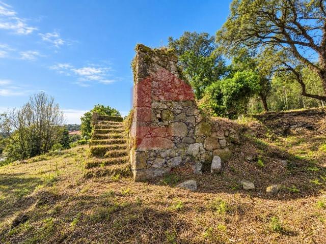 Quintinha, Barbudo