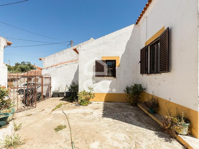 Quintinha de 1 875 m² c/ Moradia T1+1 e Anexos Agrícolas em Vila Nova da Baronia, Alvito