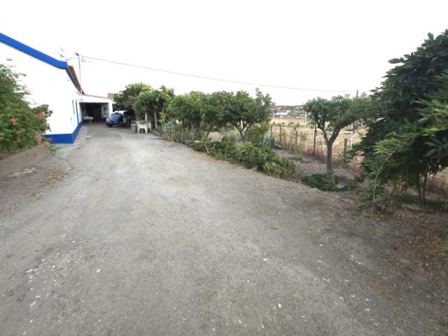 Quintinha de 12.315 m² com Monte T3, Olival, Horta e Árvores de Fruto