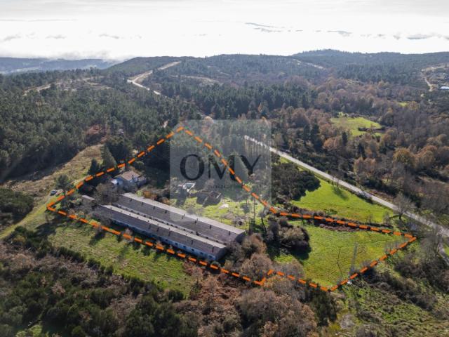 Quintinha de 12.491m2 com Moradia T3 e Outras Edificações
