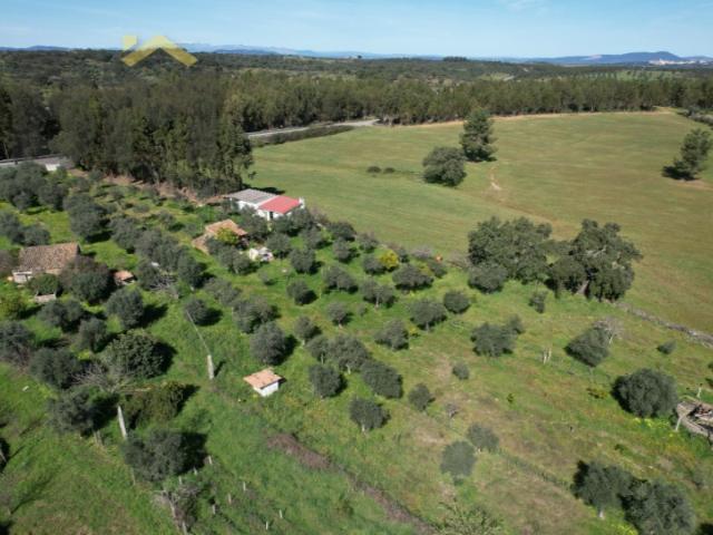 Quintinha de 9.000m2 em Proença a Velha