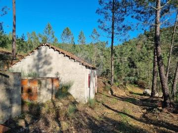 Quintinha de Chã Terreno rústico com construção em betão e muitas árvores