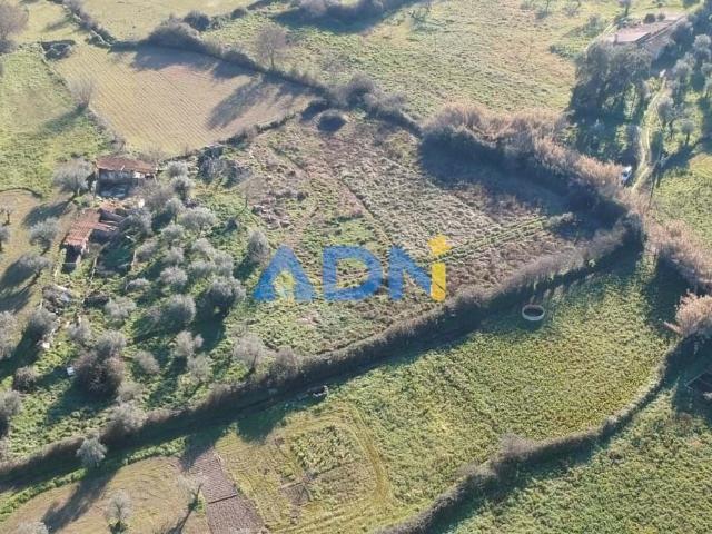 Quintinha em Castelo Branco com 6500m2, construção, ribeiro e 2 poços para venda