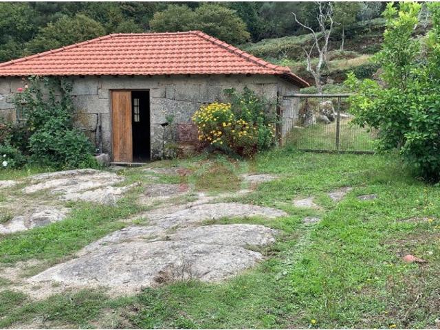 Quintinha em Cinfães do Douro