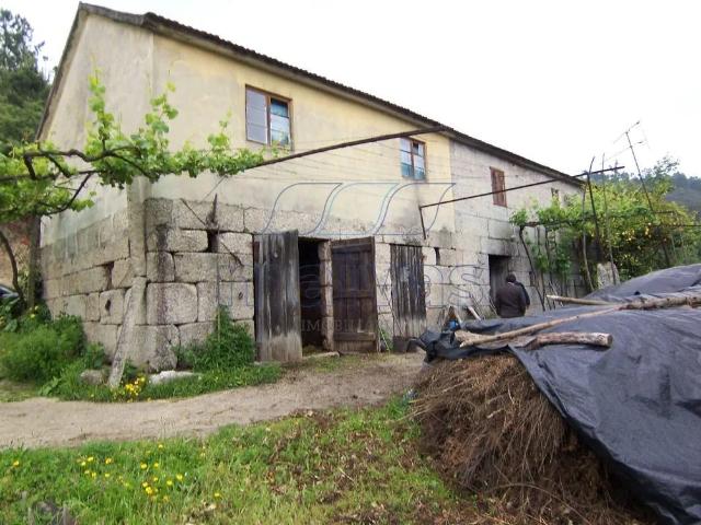 Quintinha em Amarante com aprox. 56.000 m2
