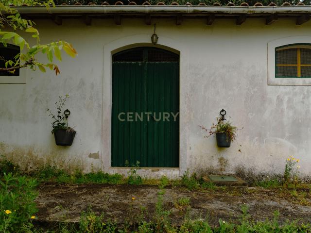 Quintinha em Alenquer com Excelente Potencial – 5,8 Hectares