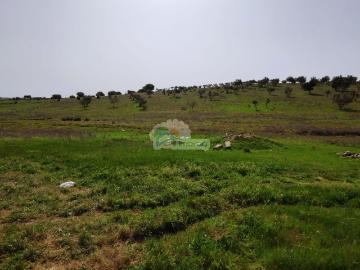 Quintinha em Granja Mourão