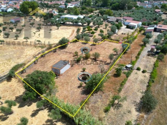 Quintinha em Escalos de Cima A 12 km de Castelo Branco
