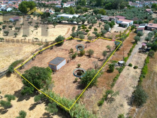 Quintinha em Escalos de Cima A 12 km de Castelo Branco