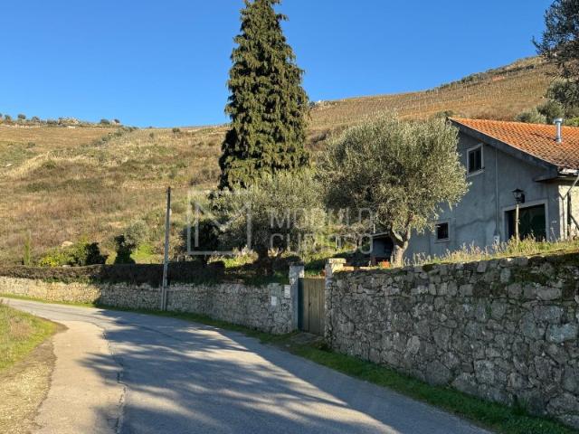 Quinta no Douro com Projeto para Alojamento Local