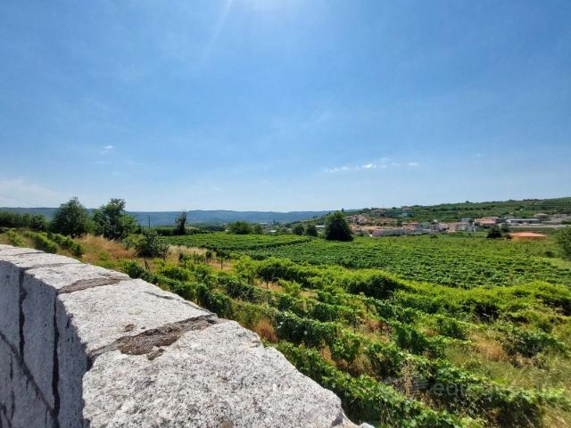 Quintinha em Lamego, Britiande