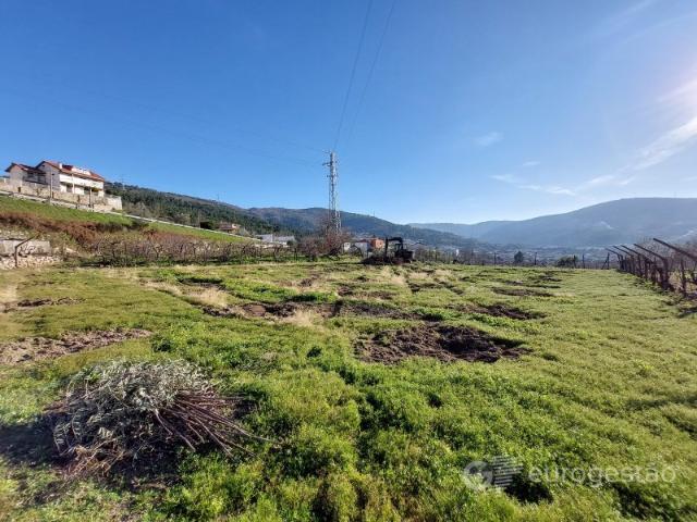 Quintinha em Mondim da Beira, Tarouca