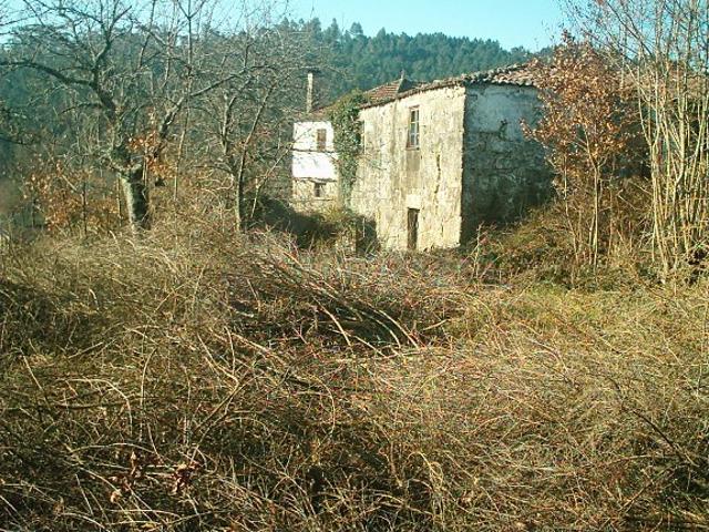 Quintinha em Paredes de Coura