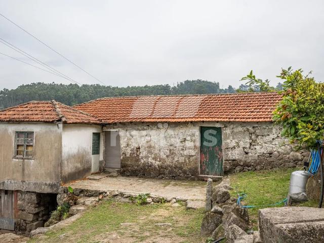Quintinha em Roriz | Santo Tirso