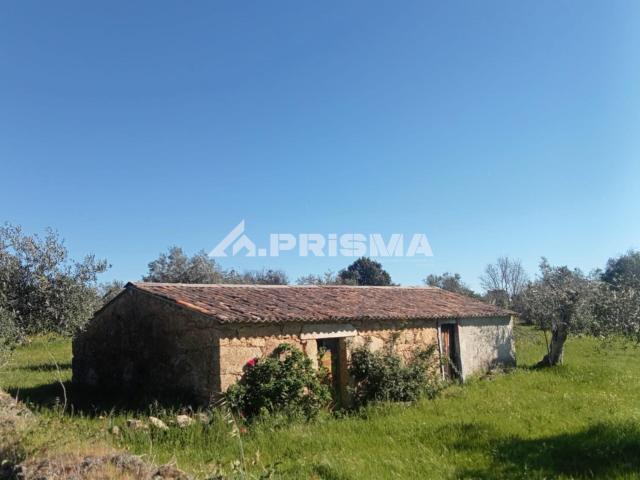 Quintinha para venda em Tinalhas, Castelo Branco