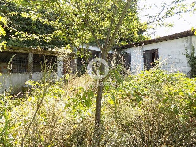 Quintinha M3+2 inserida num terreno com 3060m2, em Roriz, Santo Tirso