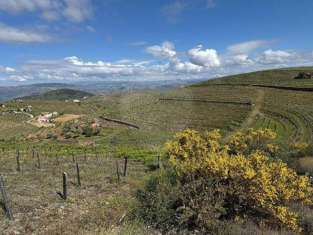 Quintinha no Douro – Uma oportunidade única!