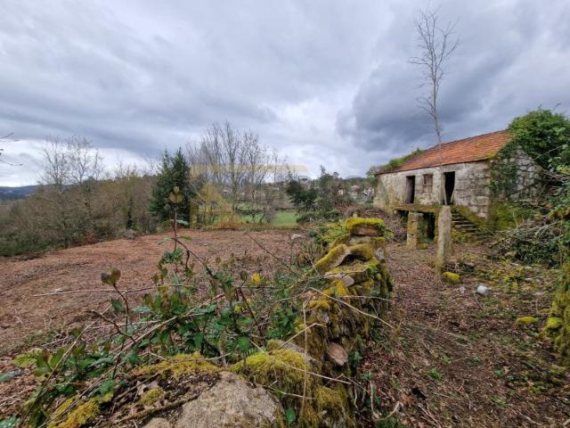 Quintinha Segude