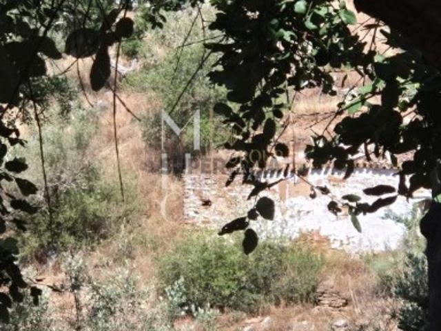 Quintinha para recuperar com uma área de 2,7 hectares com casa em ruina na aldeia de Hortinhas