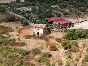 Quintinha para recuperar com 22.500 m2 de terreno, Contenças de Baixo, Mangualde