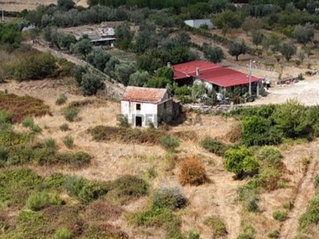 Quintinha para recuperar com 22.500 m2 de terreno, Contenças de Baixo, Mangualde