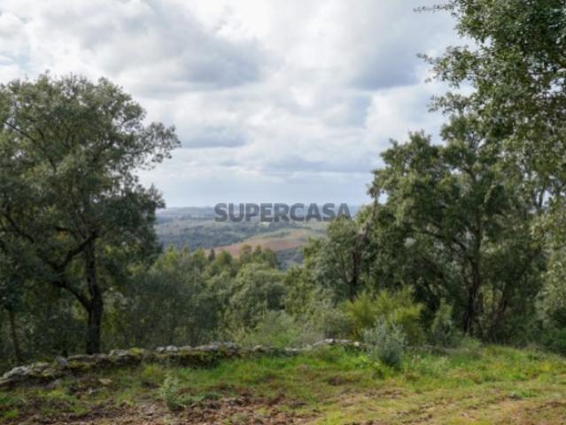 Quintinha rural com moradia T5 aprovada, em Mouriscas Abrantes