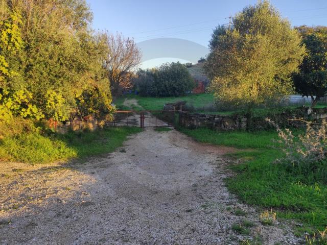 Quintinha rural com enorme potencial agrícola e de serviços, em Alcanena