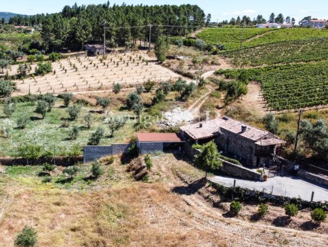 Quintinha rural com 16.000m2 com casa em xisto