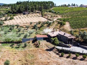 Quintinha rural com 16.000m2 com casa em xisto