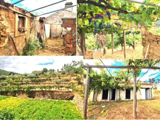 Quintinha rural com 4.848 m² | 2 terrenos urbanos + 2 rústicos | Graça, Pedrógão Grande
